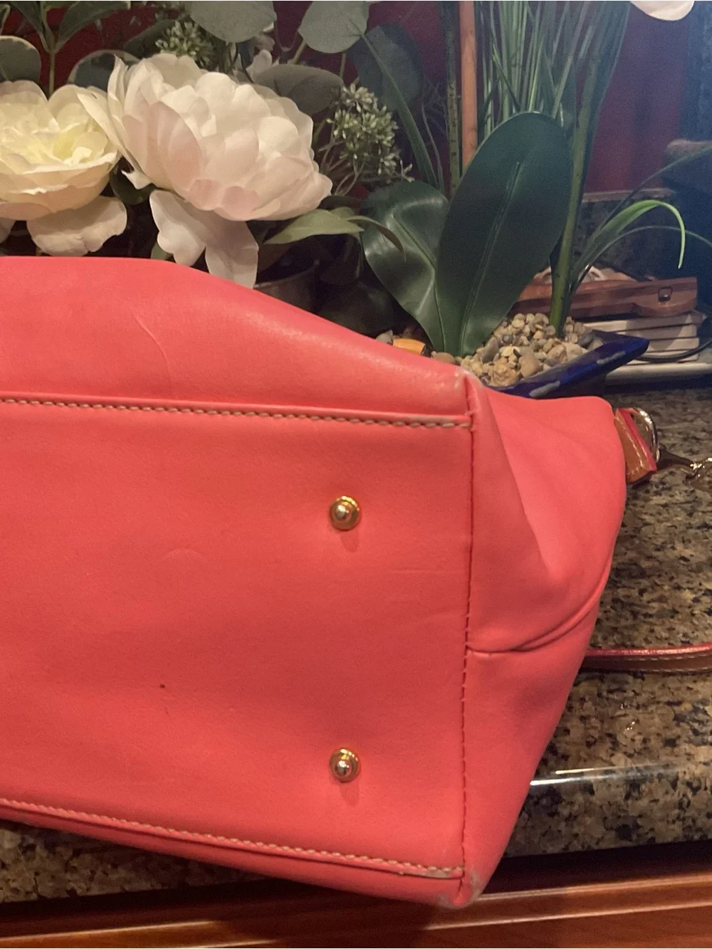 Dooney & Bourke Coral Satchel with Tan Trim